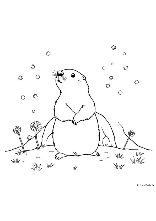Ground Hog Day Coloring Pages