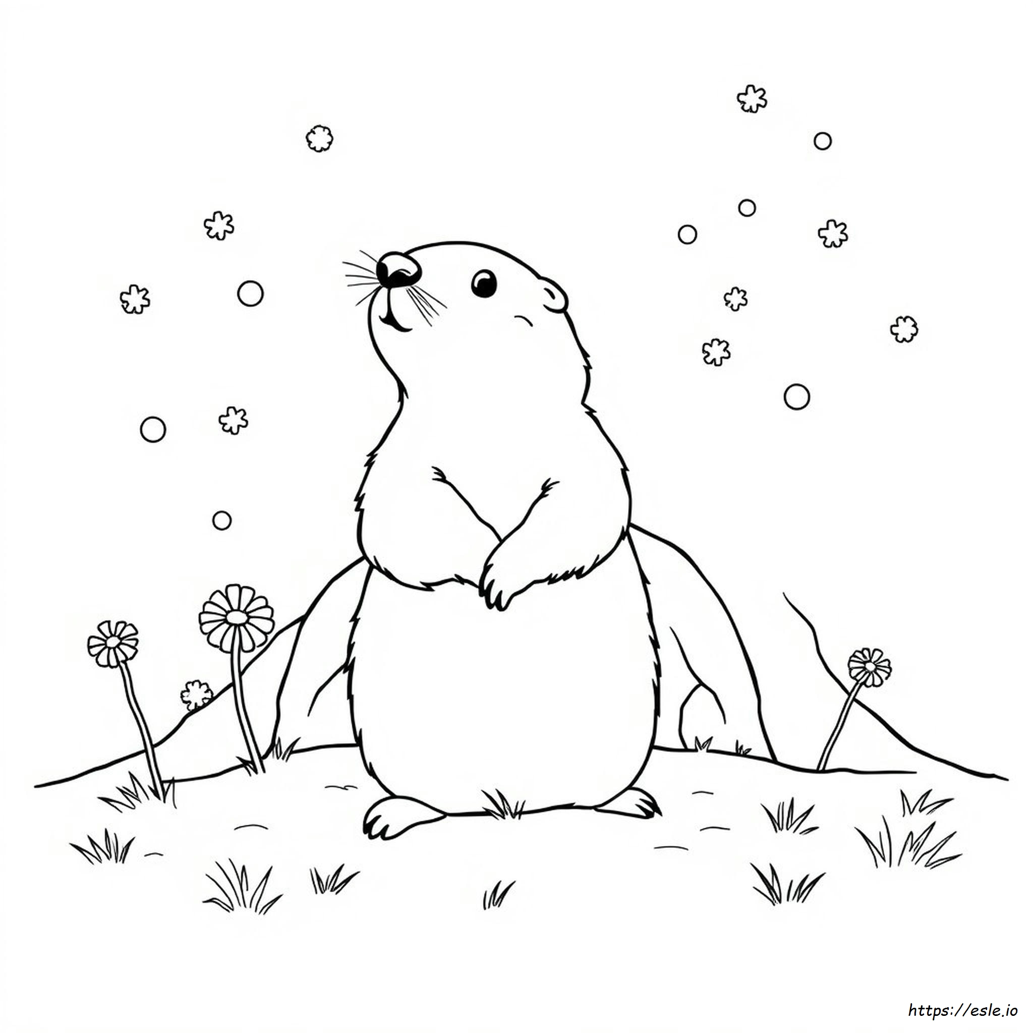 Ground Hog Day Coloring Pages