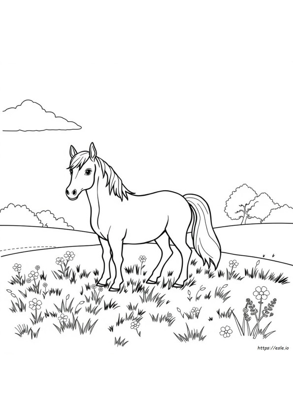 Coloriages Poneys Gratuits