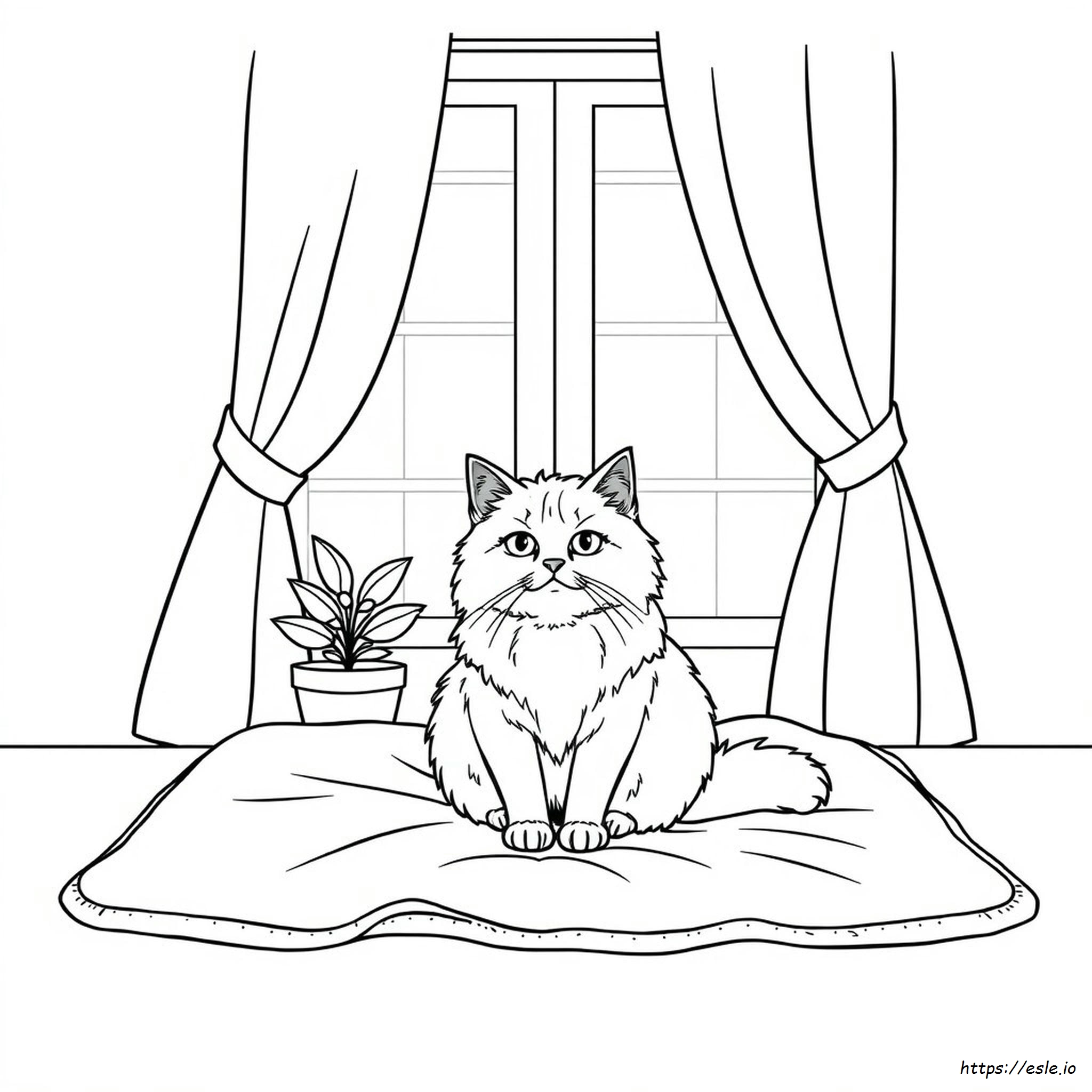 Ragdoll Cat Coloring Page