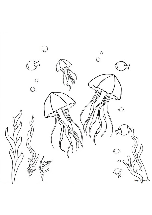 Free Jellyfish Coloring Pages