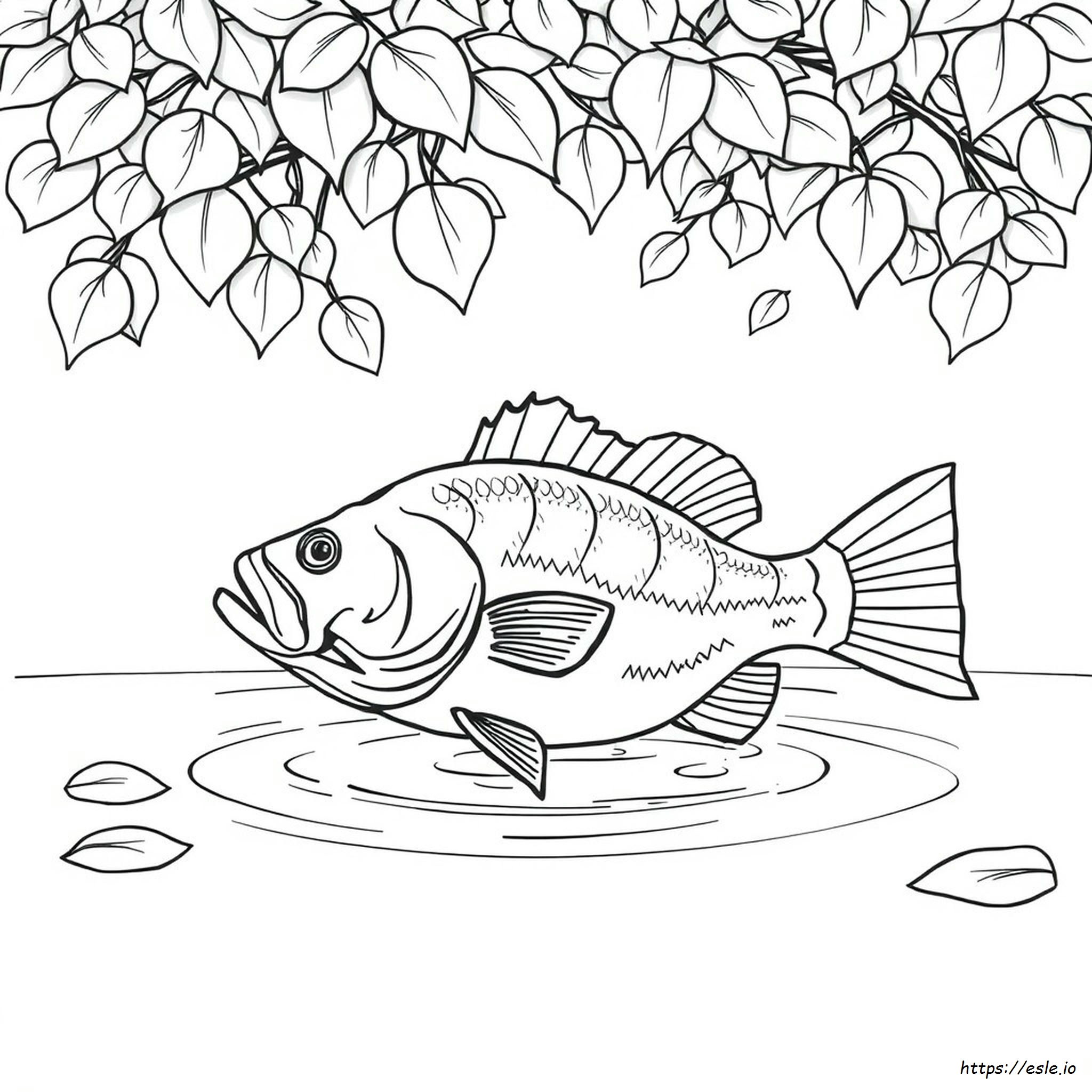 Largemouth Bass Bass Fish Coloring Pages