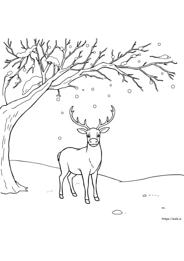 トナカイのぬりえ