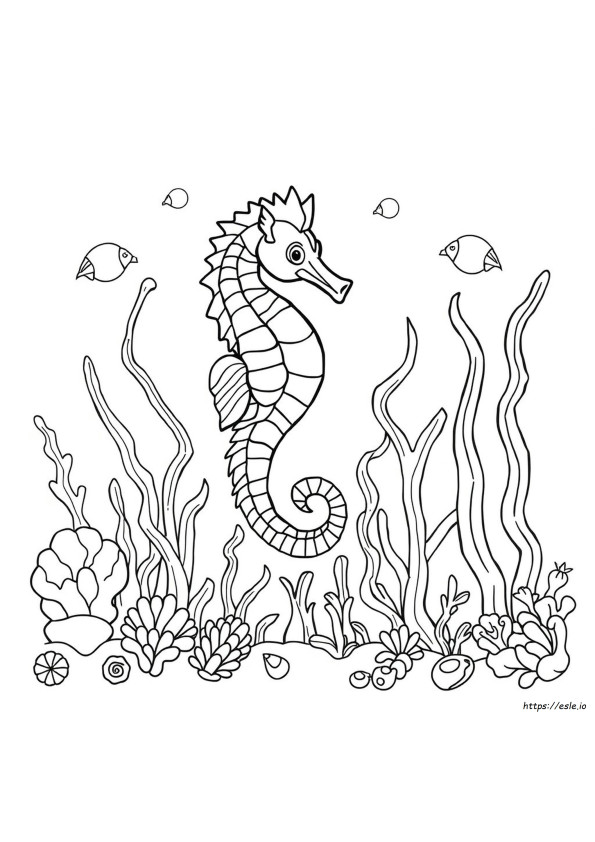 Detallada Página Para Colorear De Caballito De Mar