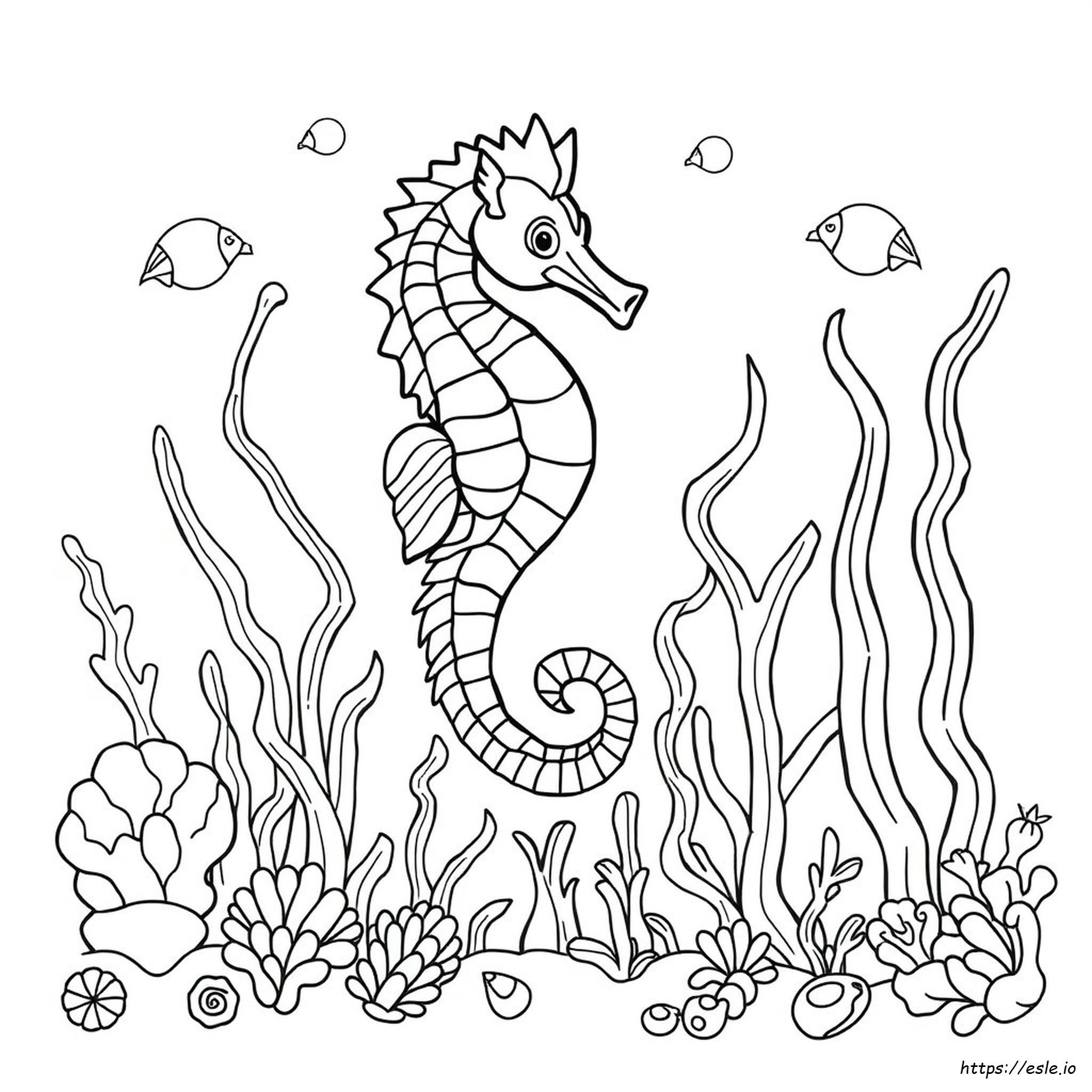 Detailed Seahorse Coloring Page