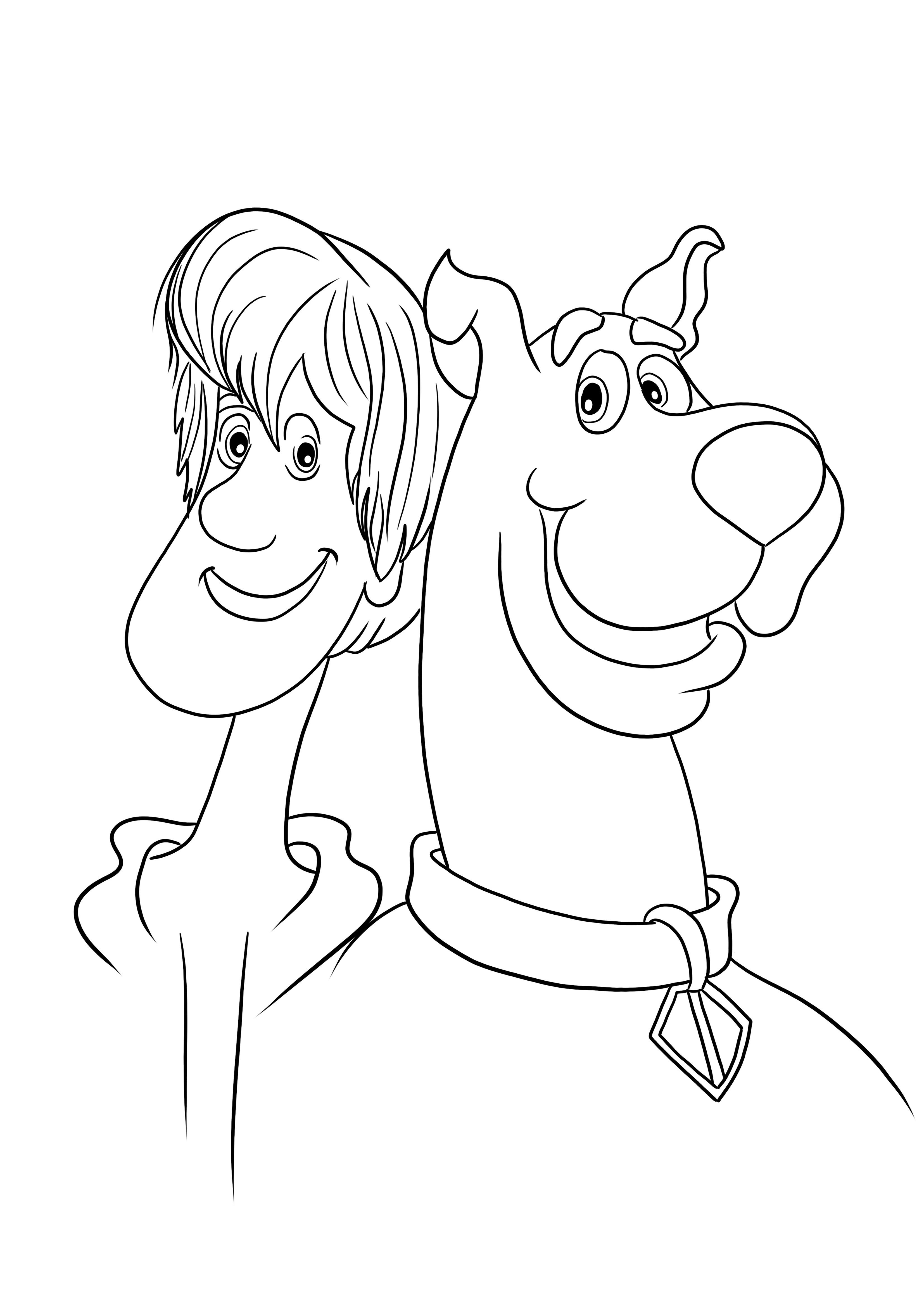 Engraçado Salsicha e seu amigo Scooby página fácil de colorir e imprimir para crianças