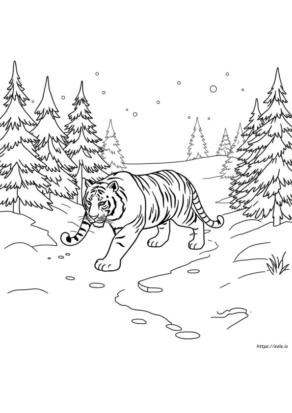 Tigre Delle Nevi Da Colorare