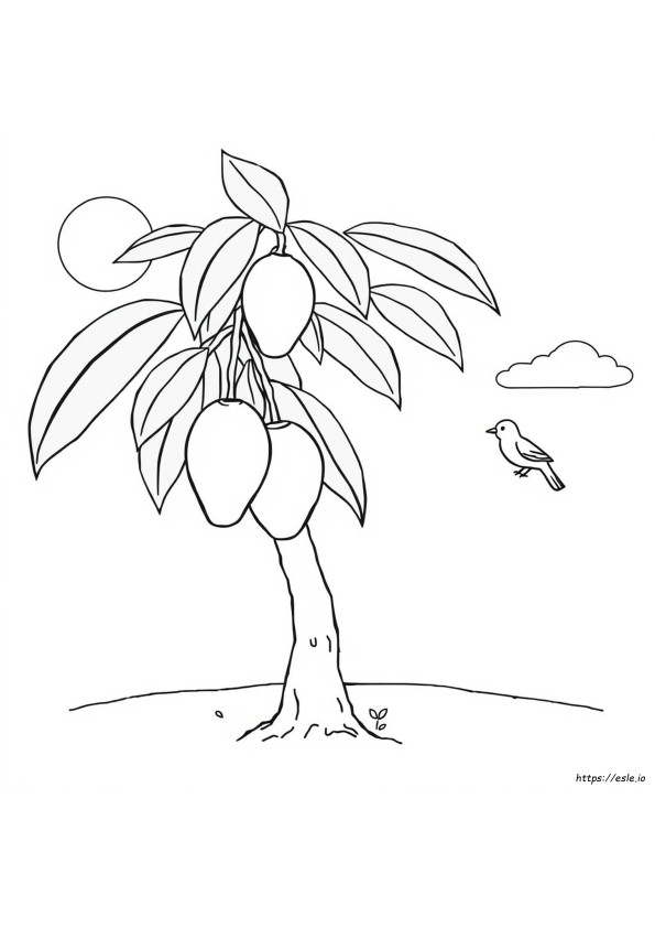Musa Ausmalbilder