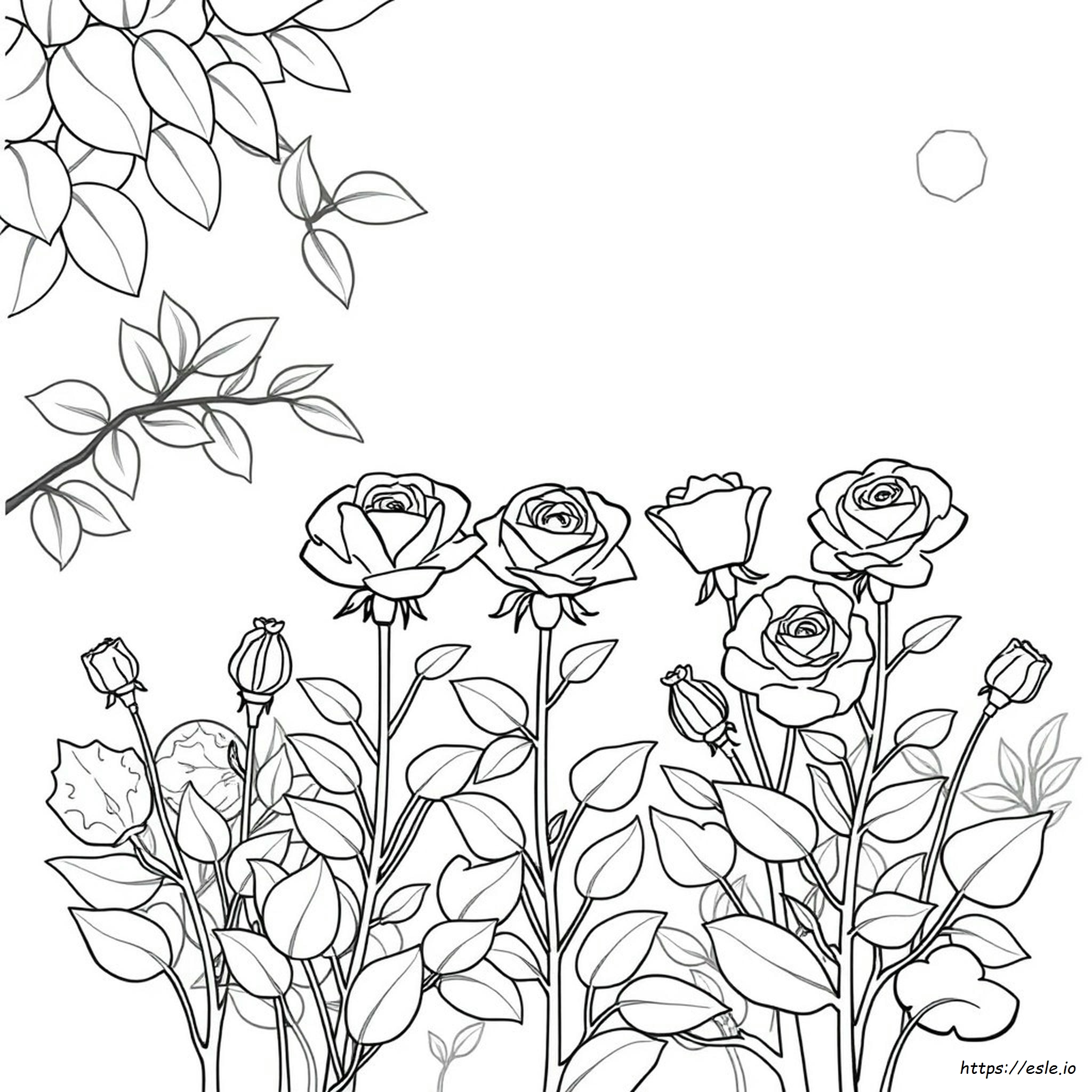 Coloring Pages Of Flowers And Roses