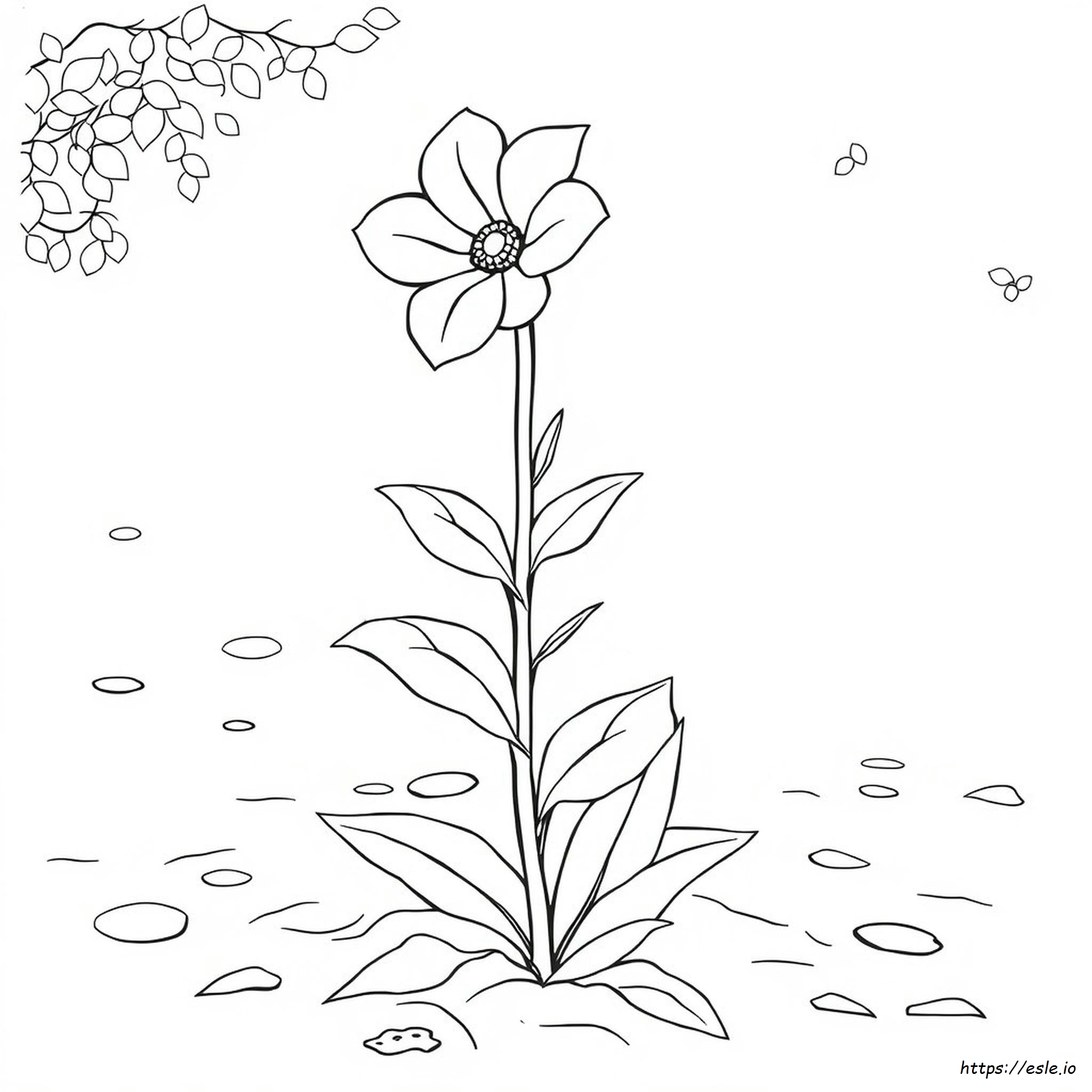 Realistic Flower Coloring Pages