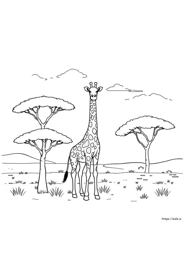 Kleurplaat Van Een Giraffe