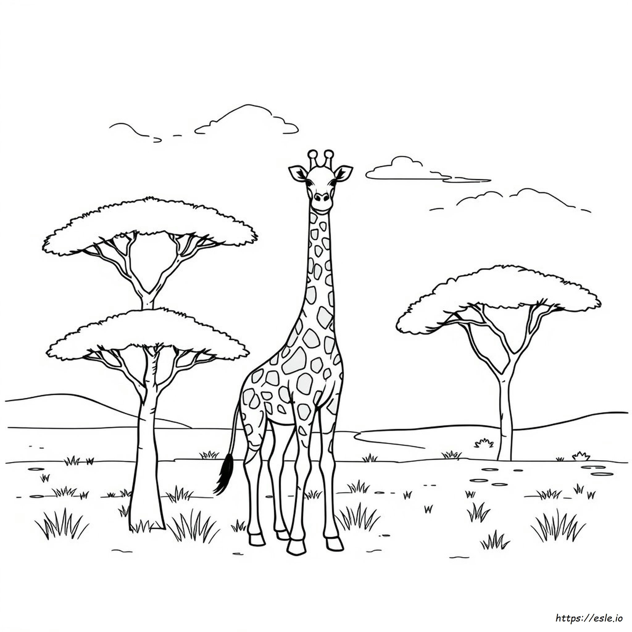 Coloring Page Of A Giraffe