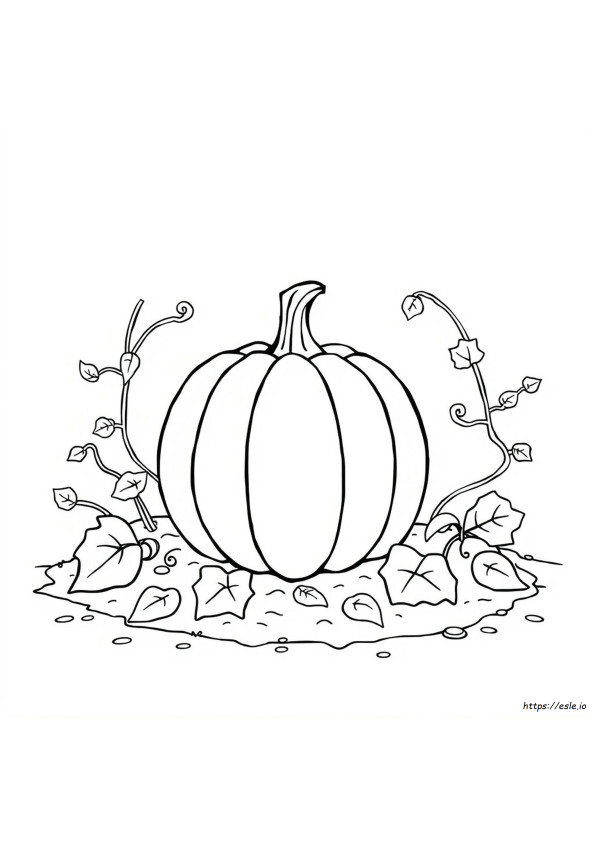 Coloriage Crée Ta Propre Citrouille À Imprimer