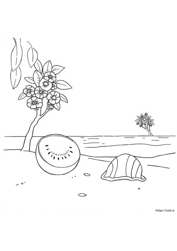 Kolorowanki Kiwiana