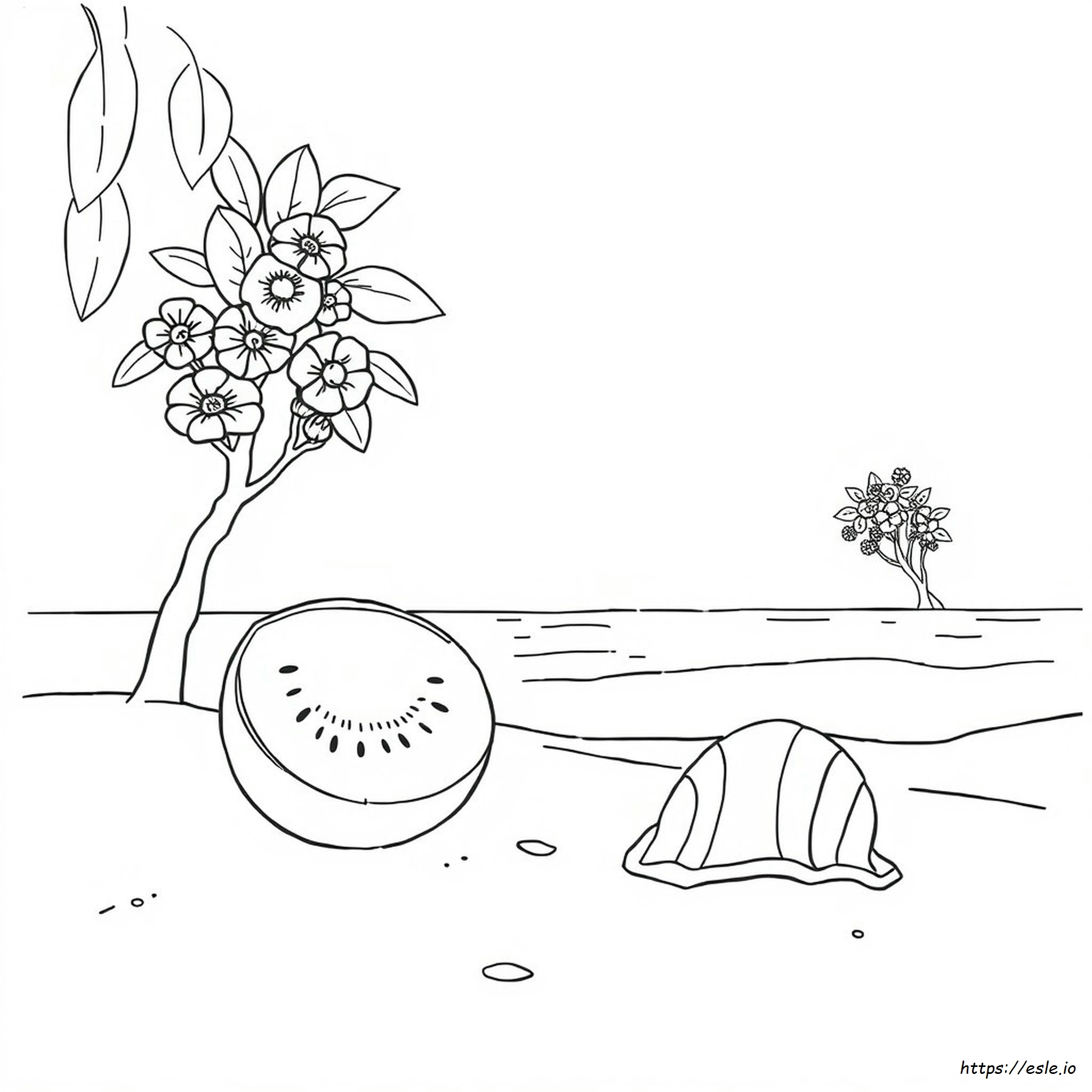 Kiwiana Colouring Pages