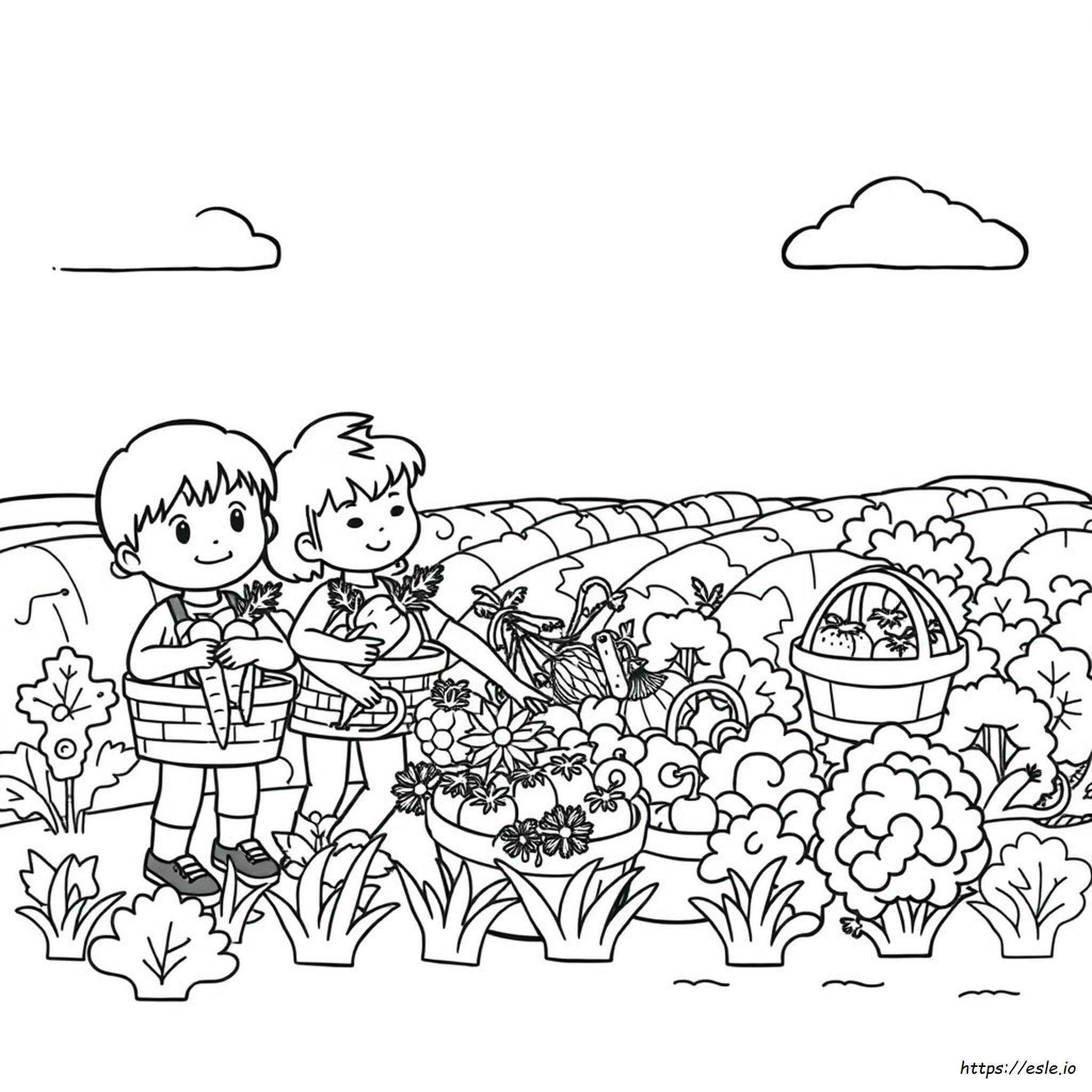 Kindergarten Coloring Fruits And Vegetables
