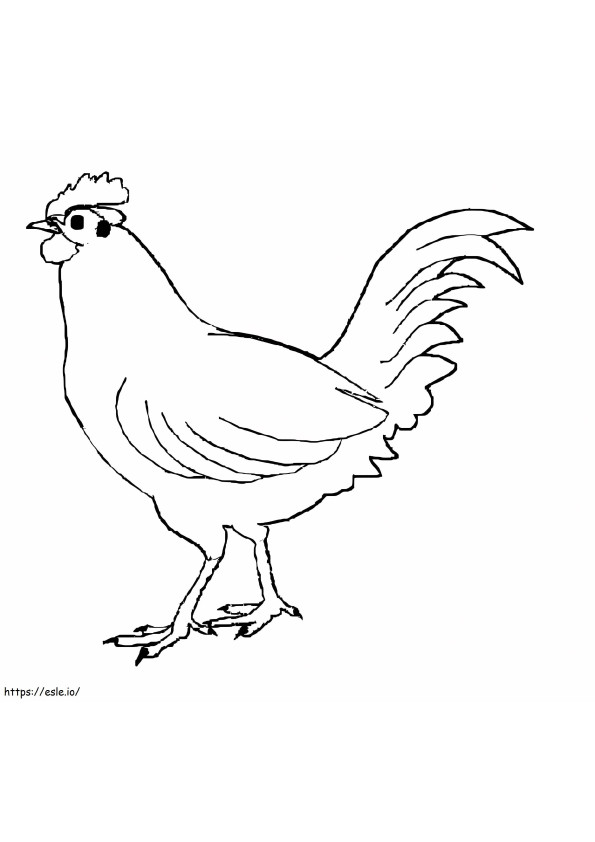 Darmowy kurczak do wydrukowania kolorowanka