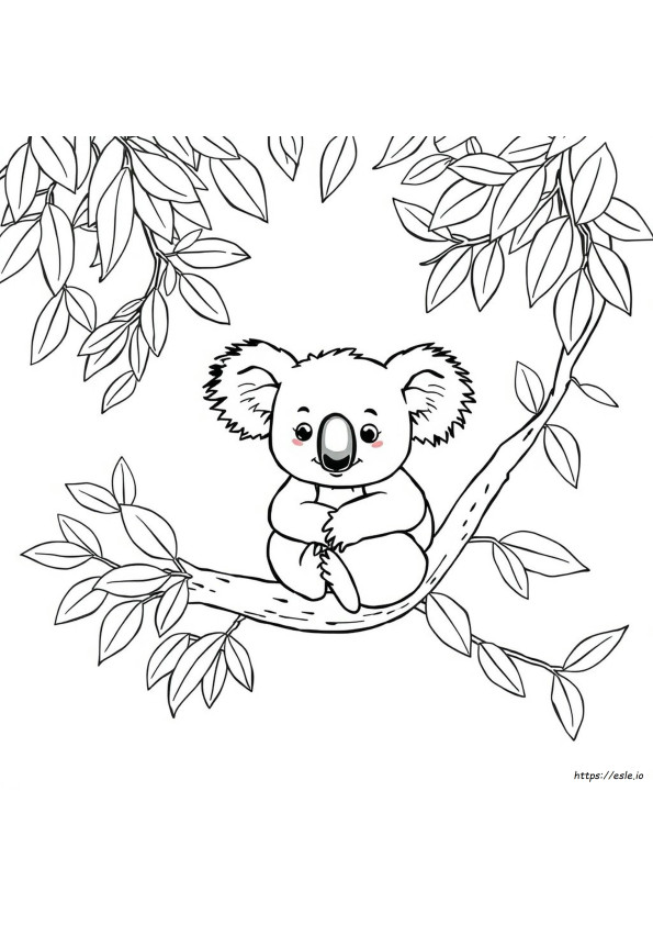 Koala Kolorowanka Do Wydruku