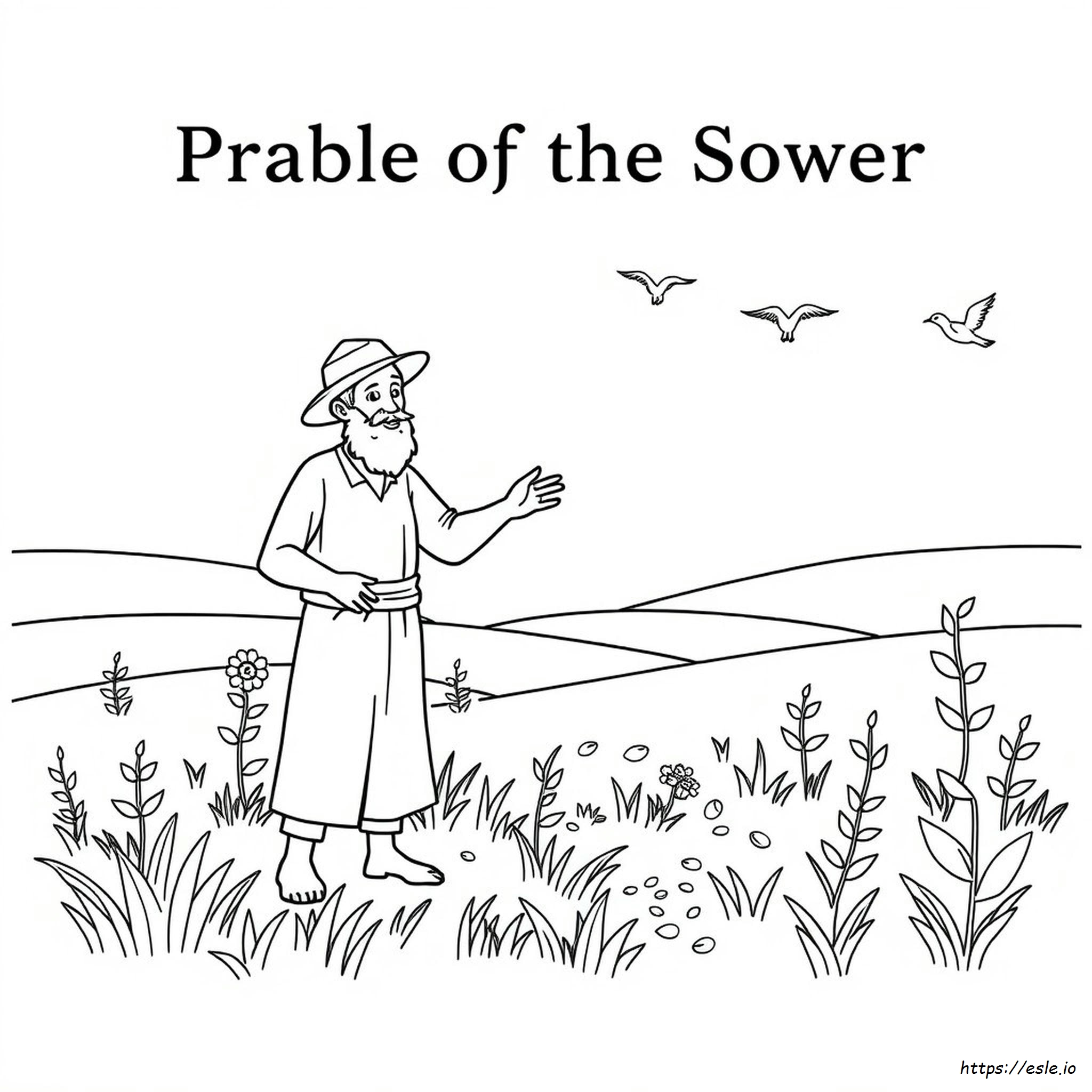 Printable Parable Of The Sower Coloring Page