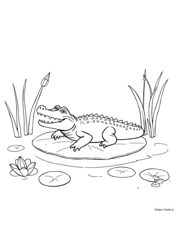 Kolorowanka Aligator