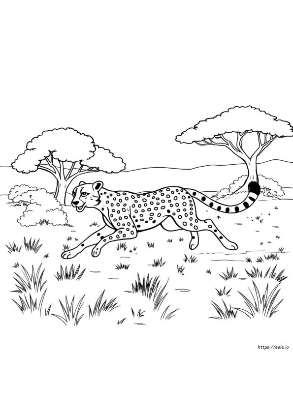 Gepard Kleurplaat