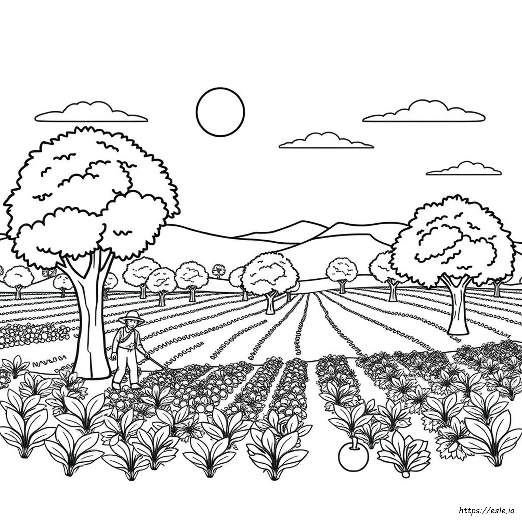 Plantation Coloring Pages