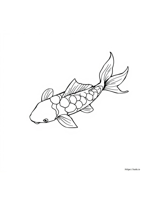 Koi Fish Coloring Sheet