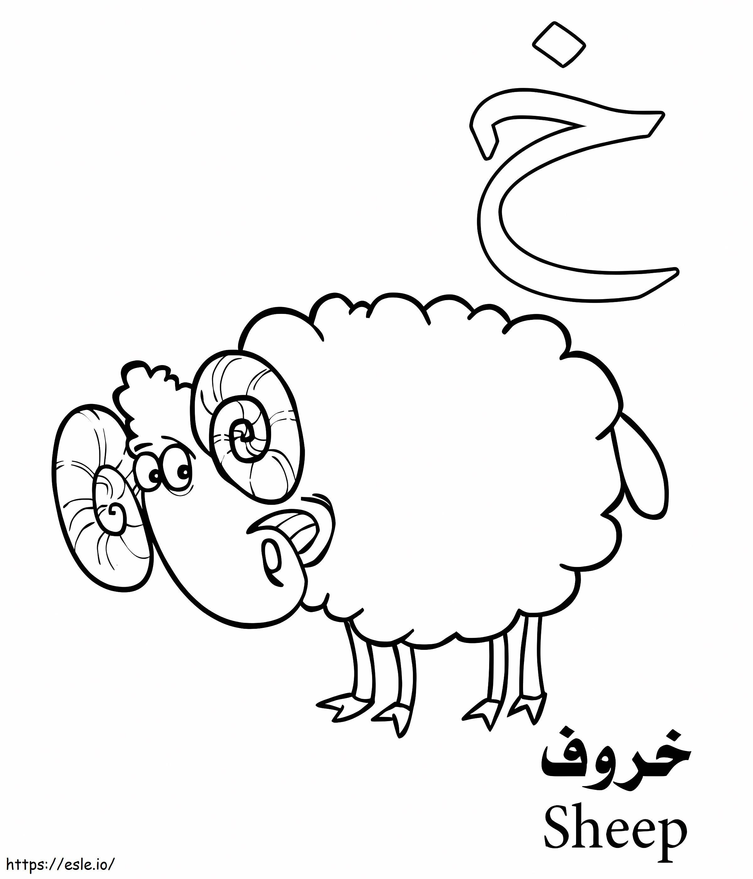 Alfabeto arabo di pecora da colorare