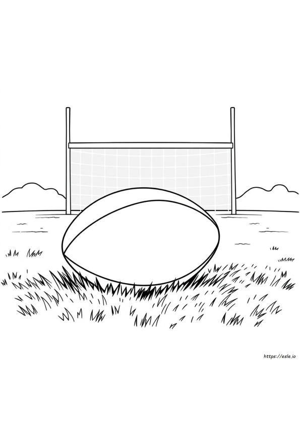 Minge De Rugby De Colorat