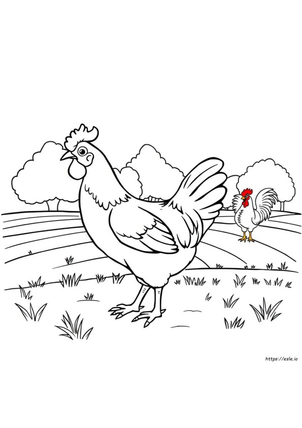 Free Chicken Coloring Page