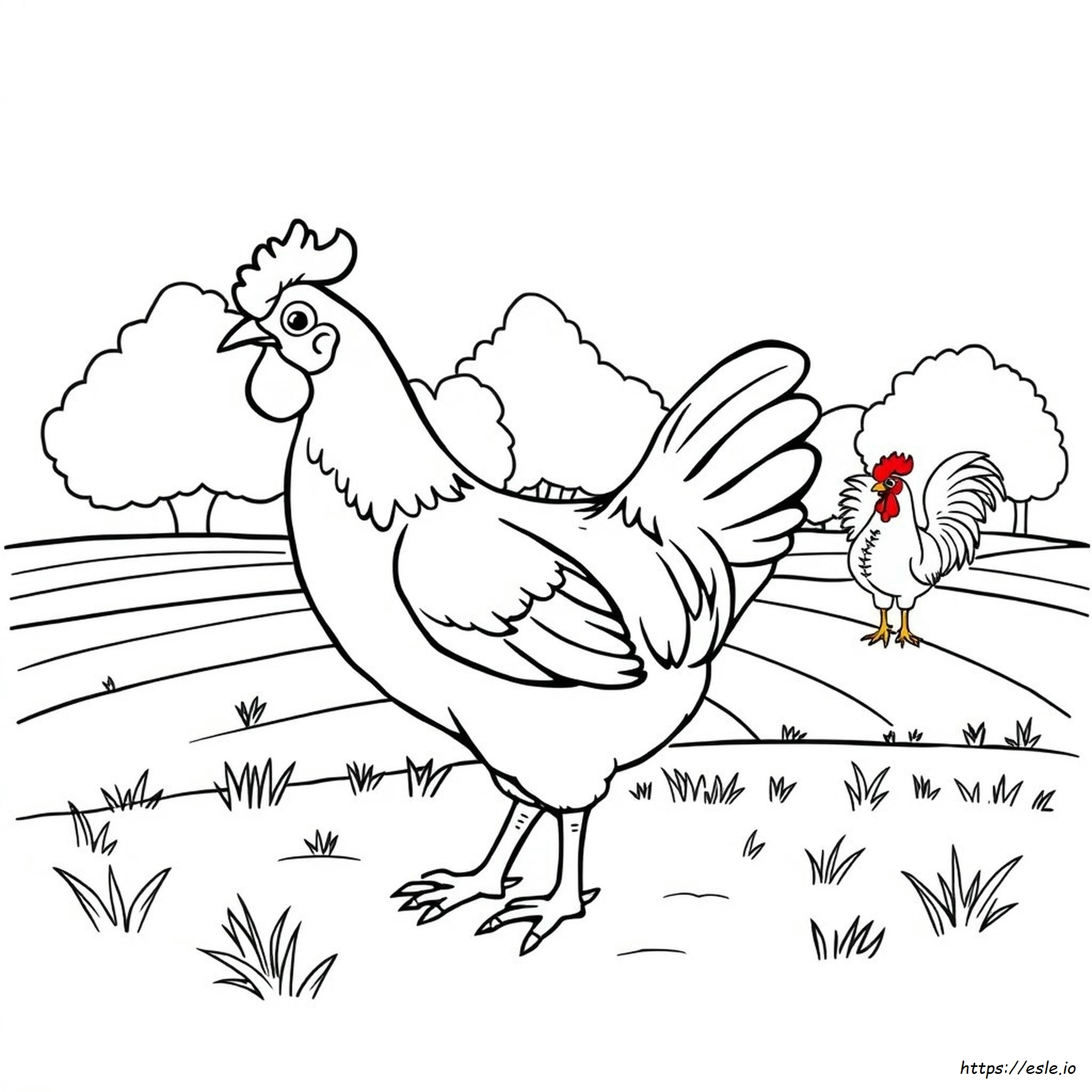 Free Chicken Coloring Page