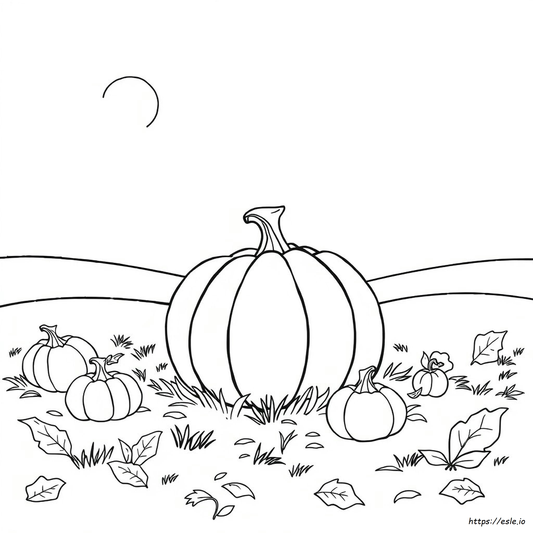 Free Coloring Pictures Of Pumpkins