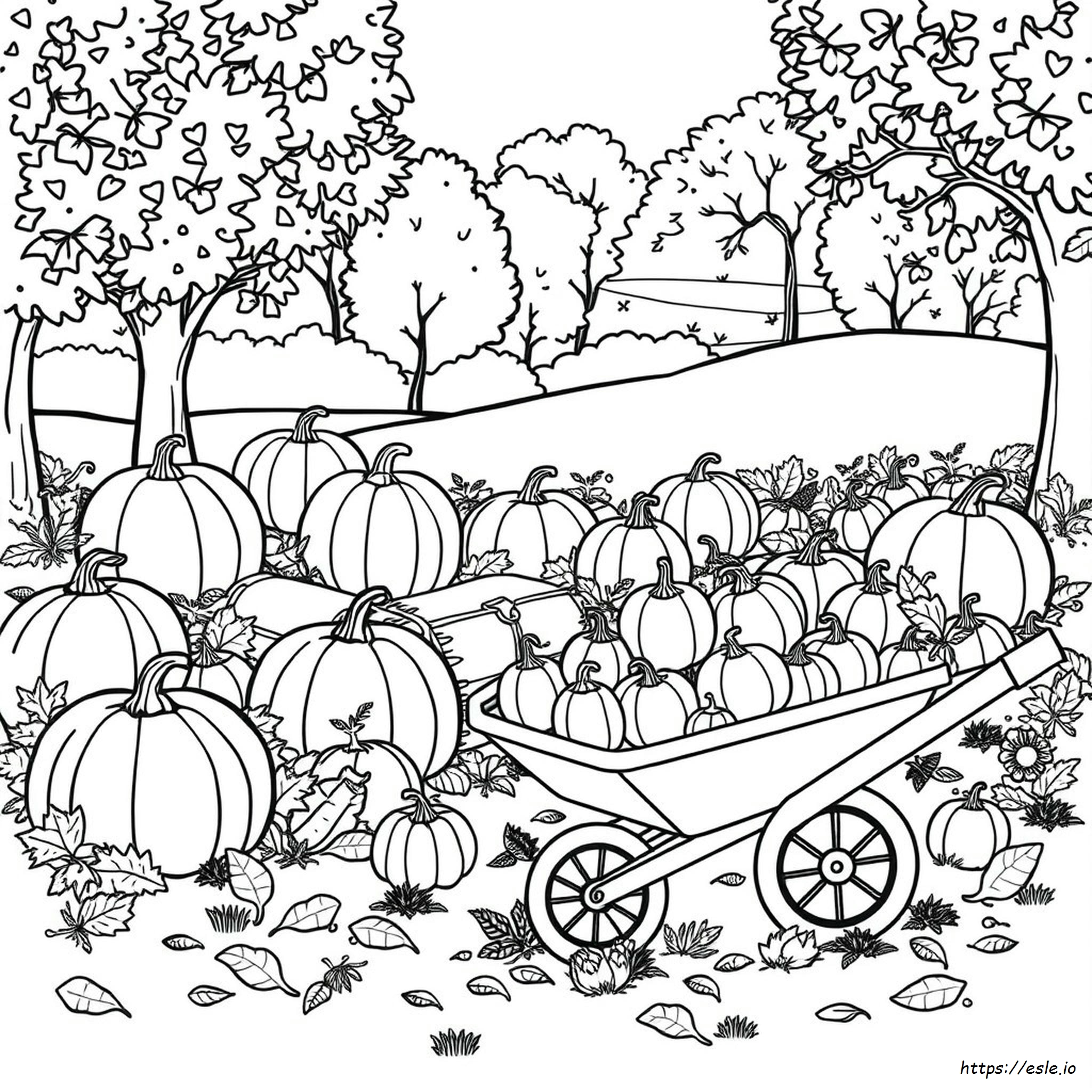 Fall Harvest Coloring Pages