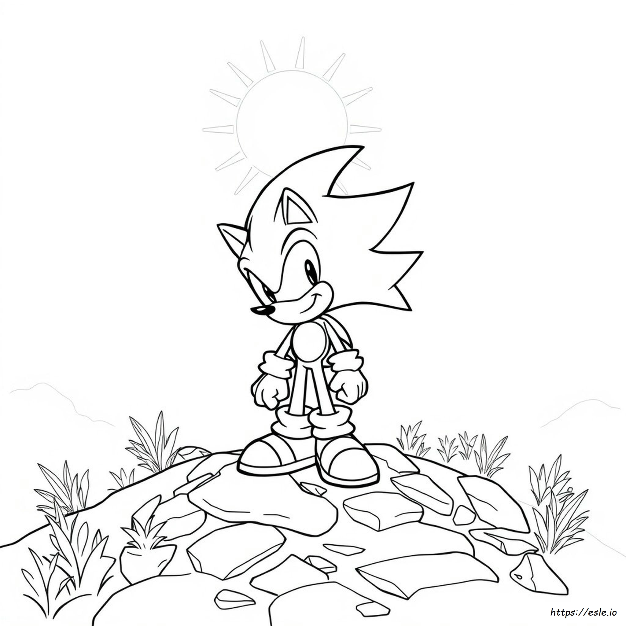 Schwarzer Sonic Ausmalbilder