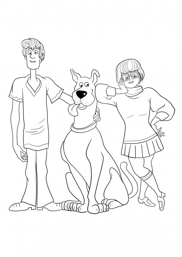 La stampa gratuita di Velma-Shaggy e Scooby-Doo è pronta per essere colorata divertendosi dai bambini