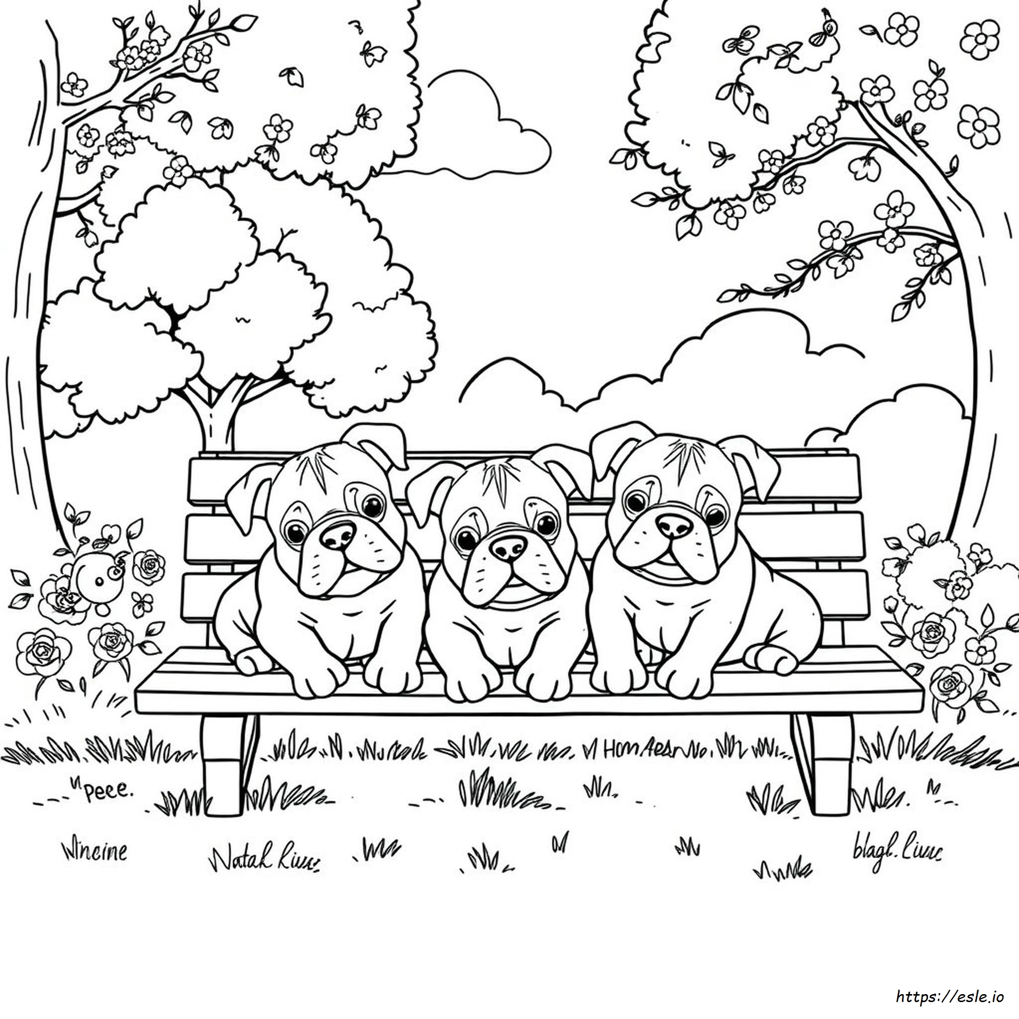 Bulldogs Colouring Pages