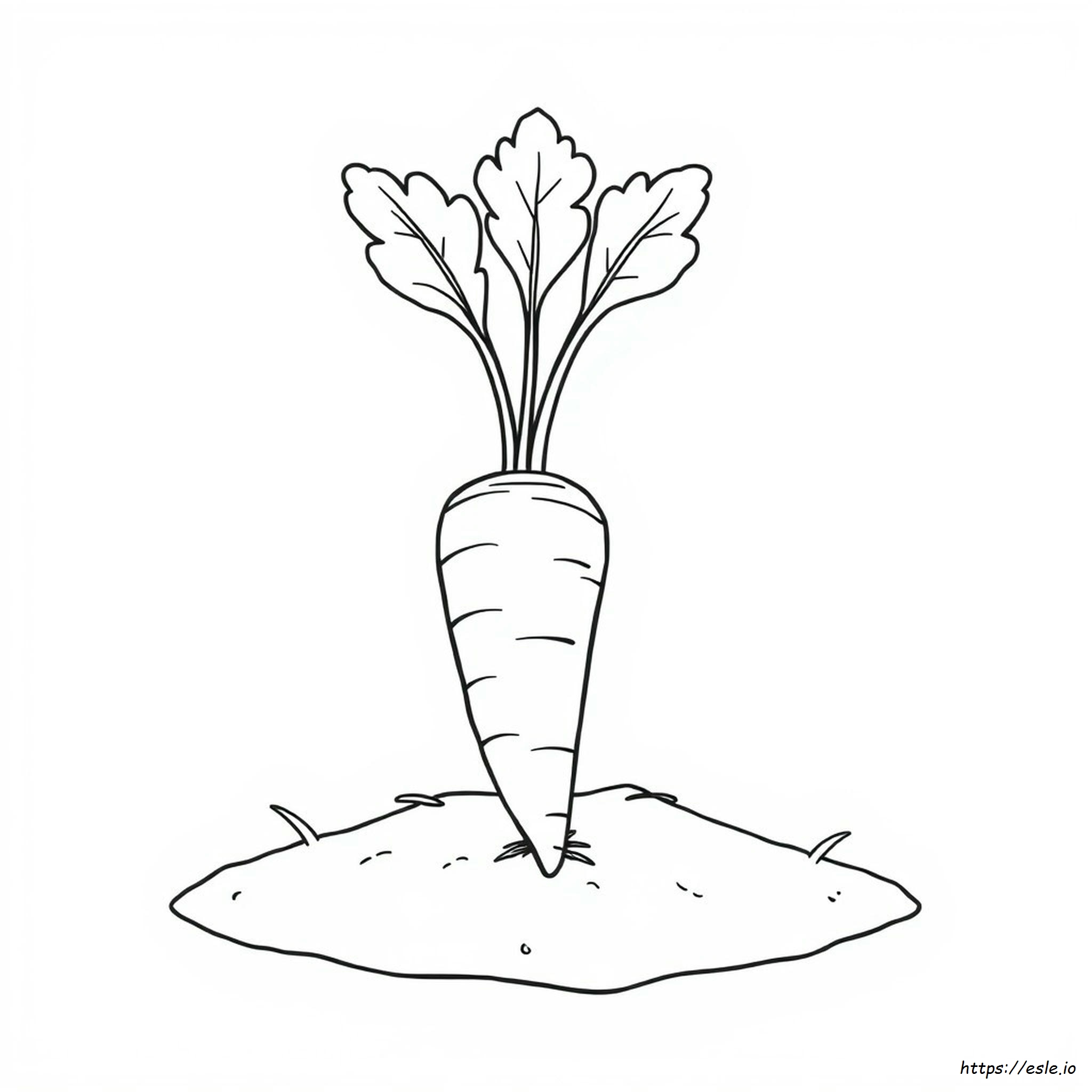 Carrot Outline For Colouring