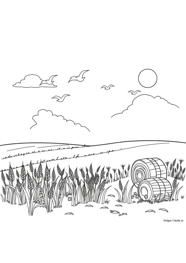 Grano Da Colorare E Stampare