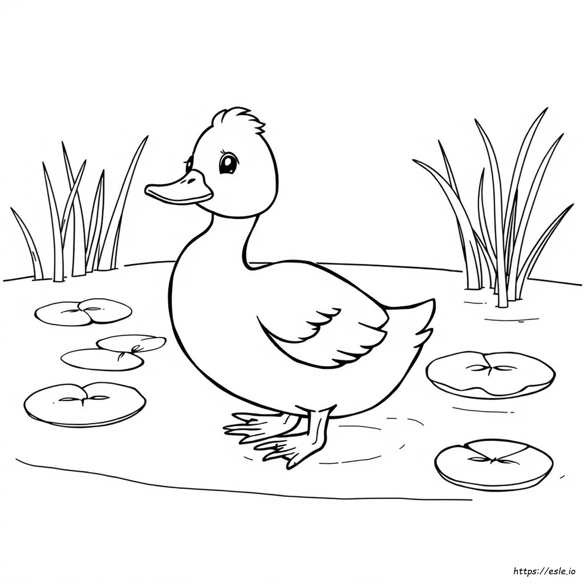 Cute Duck Colouring Pages