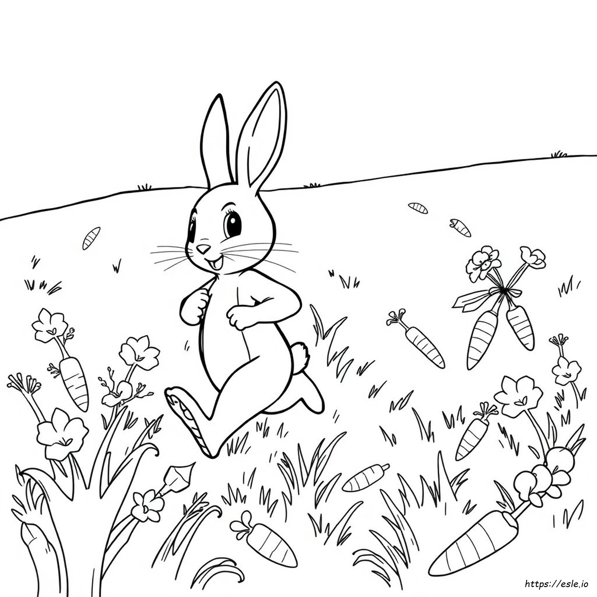 Peter Rabbit Colouring Pages