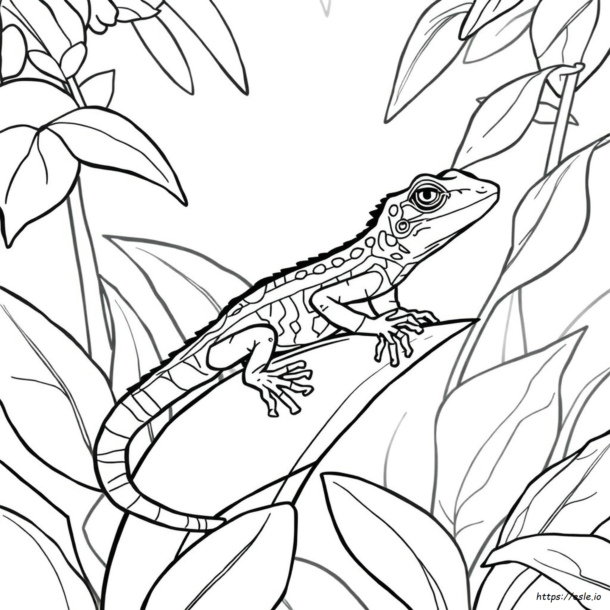 Do Anole Lizards Change Colors