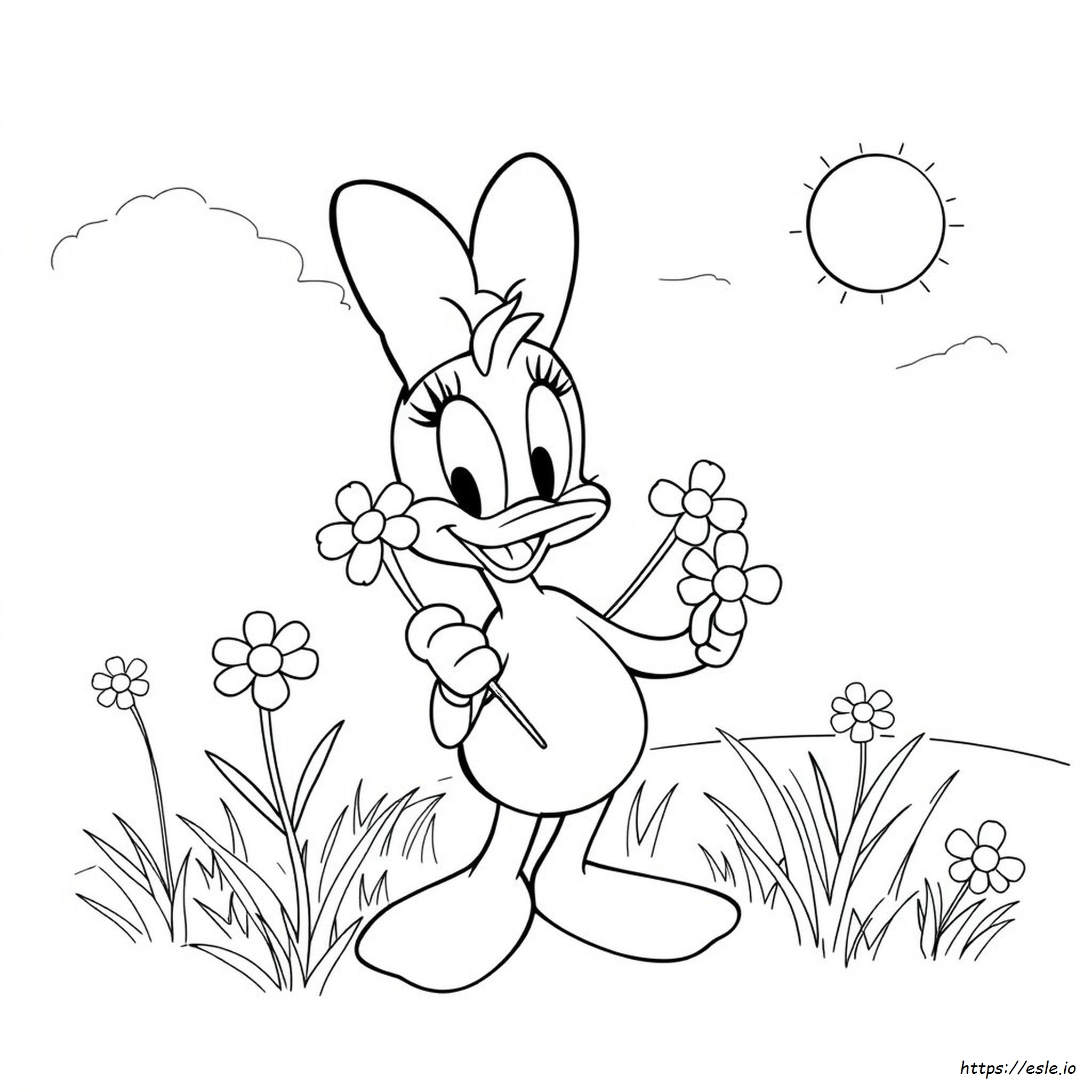 Daisy Duck Printable Coloring Pages