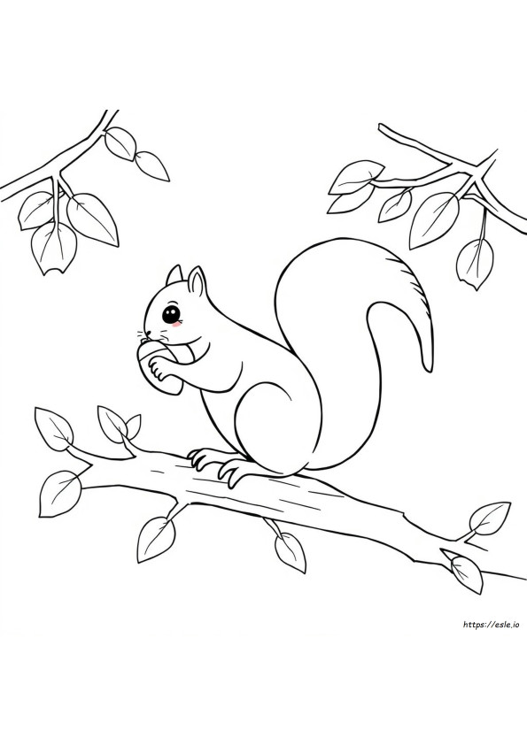 Free Coloring Pages Of Squirrels
