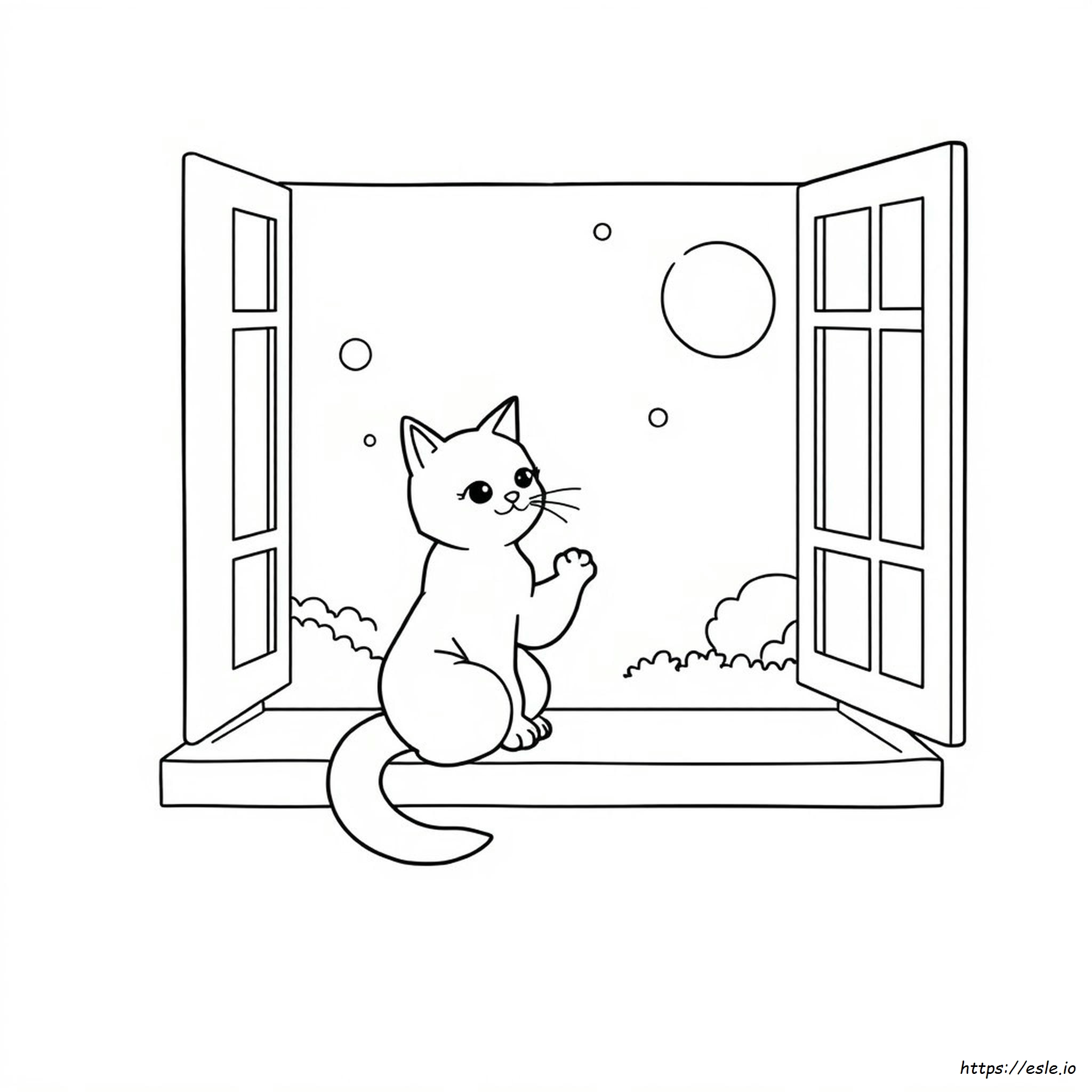 Immagini Di Gatti Da Colorare