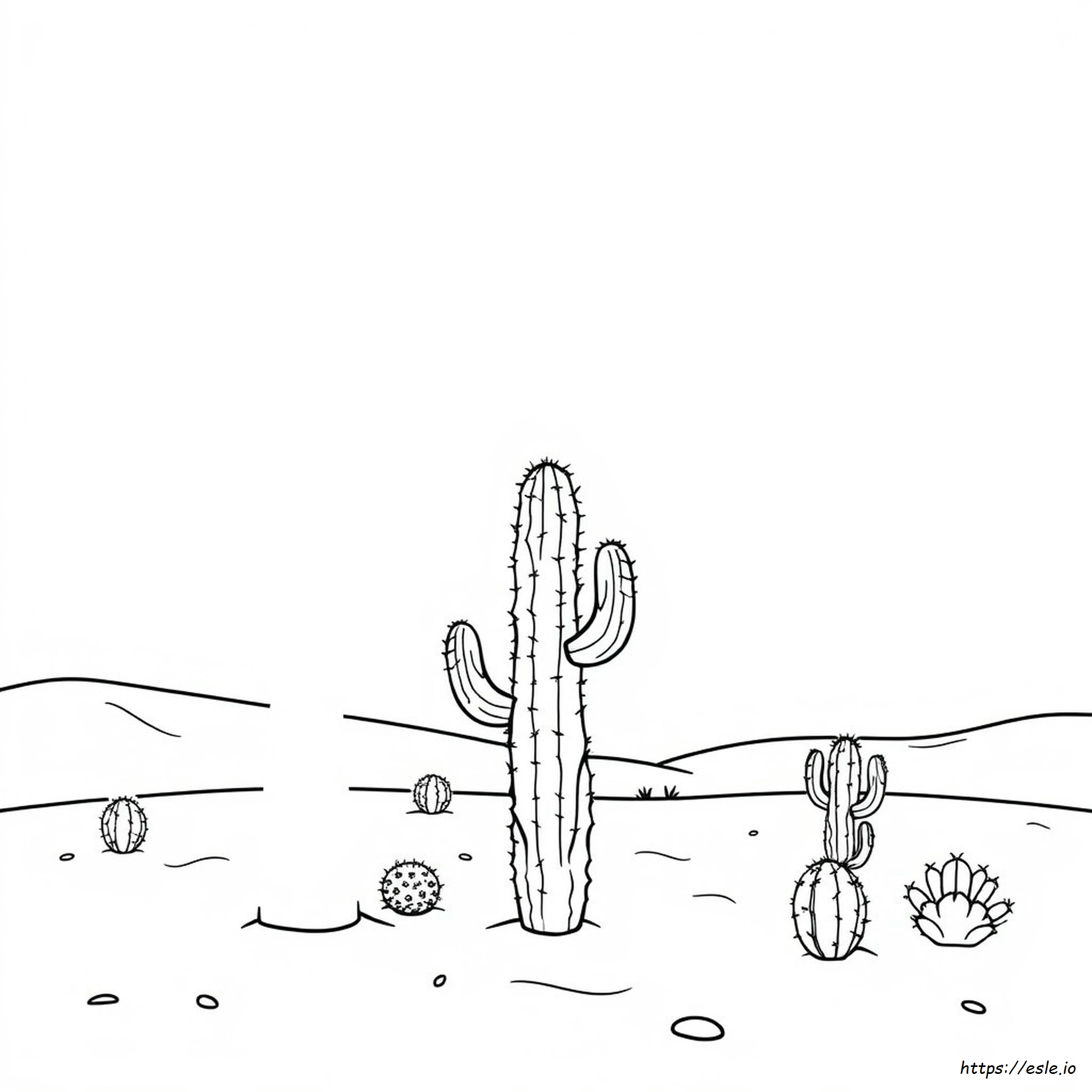Cactus Coloring Pages For Adults