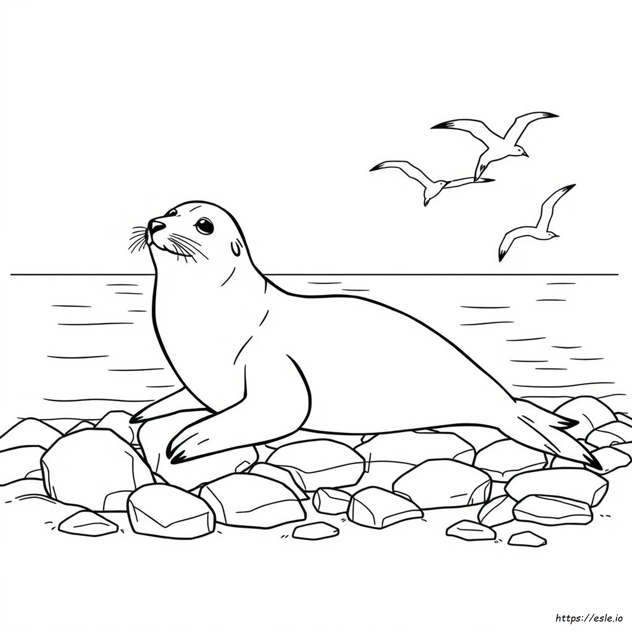 Realistic Seal Coloring Pages