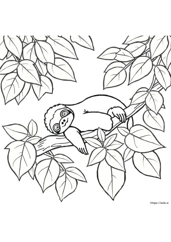 Dibujos Para Colorear De Un Perezoso