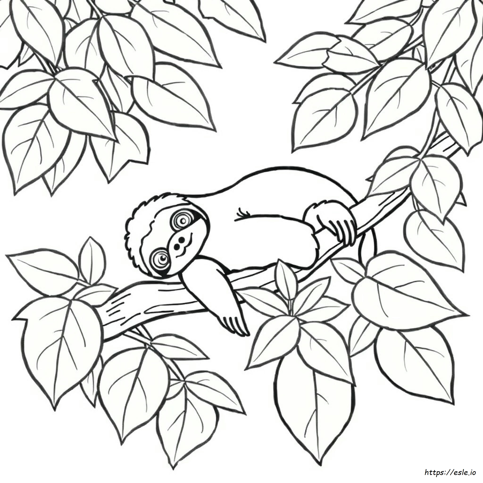 Coloring Pages Of A Sloth