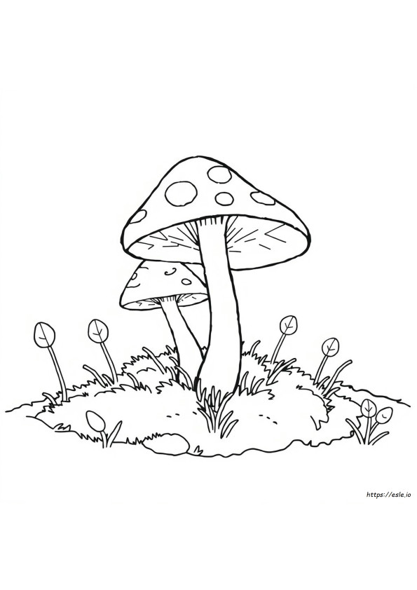 Gambar Mewarnai Jamur Payung