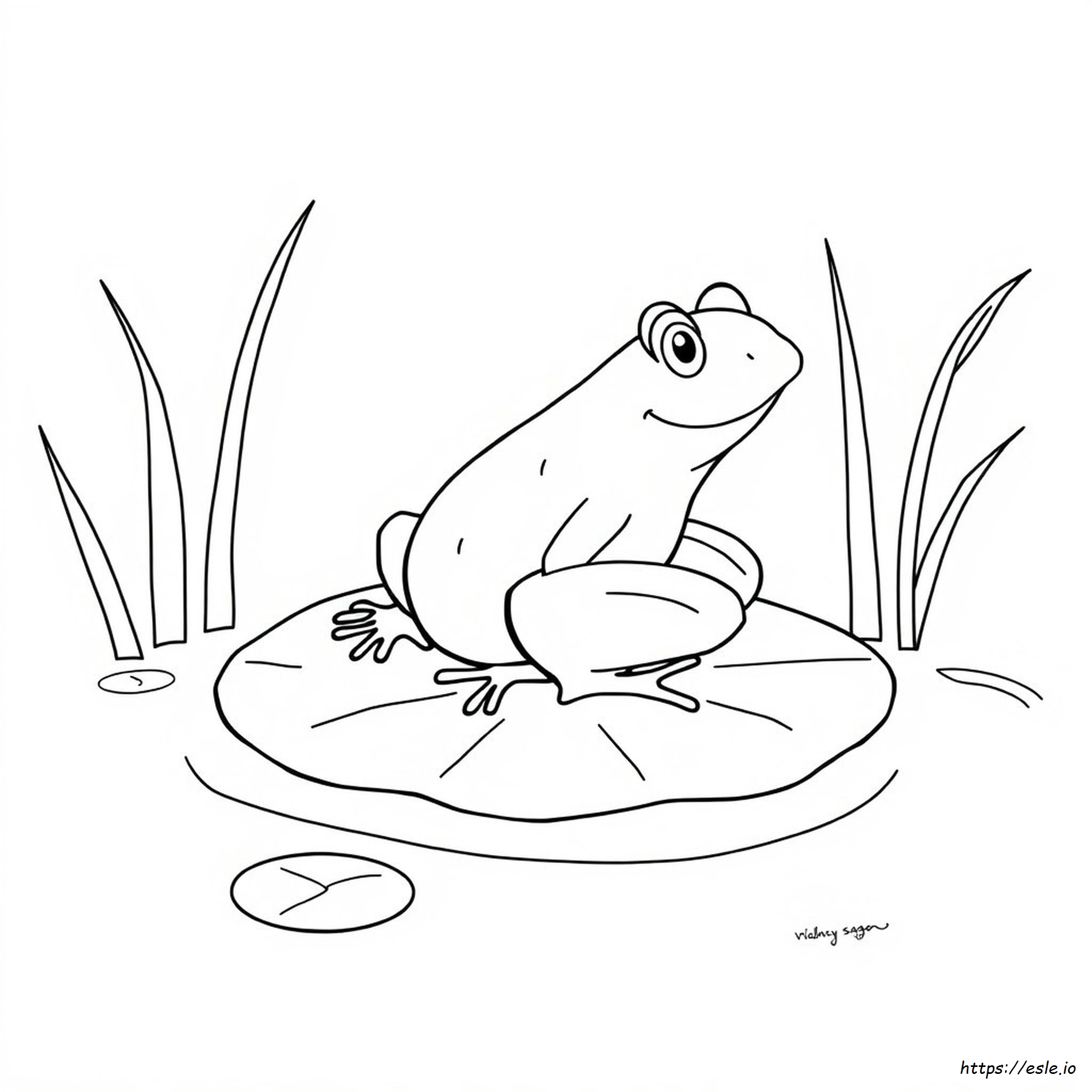 Coloring Pages Of Frogs